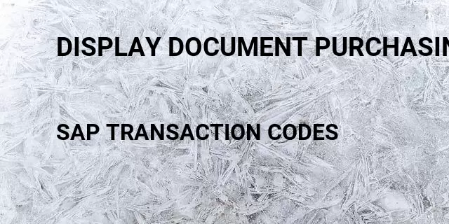 Display document purchasing Tcode in SAP