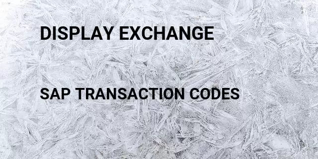 Display exchange  Tcode in SAP