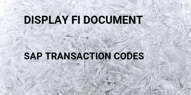 Display fi document Tcode in SAP