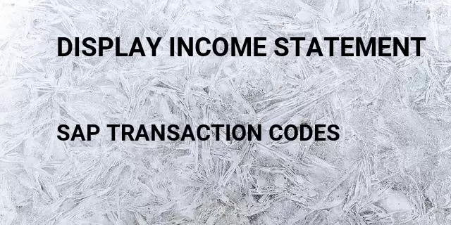 Display income statement Tcode in SAP