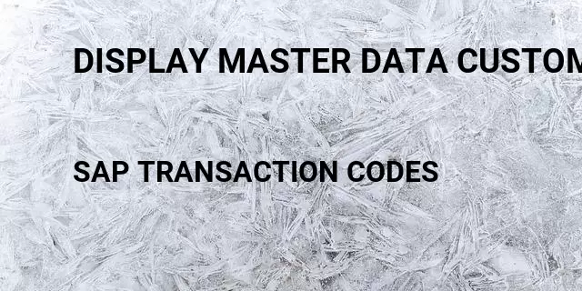 Display master data customer Tcode in SAP