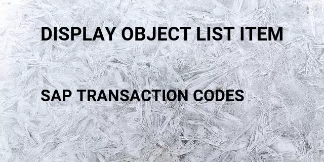 Display object list item Tcode in SAP