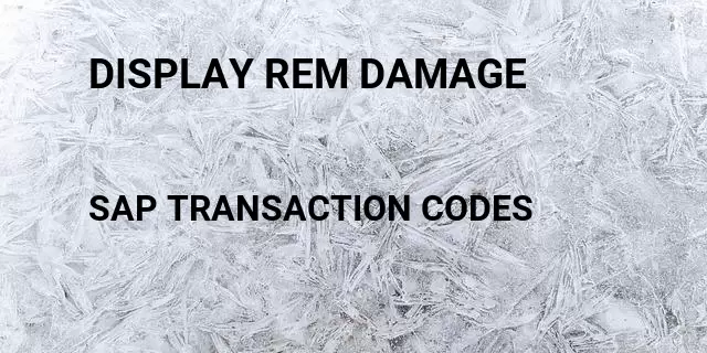 Display rem damage Tcode in SAP