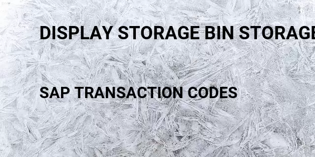 Display storage bin storage unit type Tcode in SAP