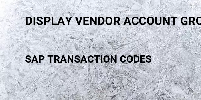 Display vendor account group Tcode in SAP