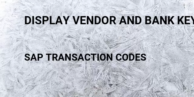 Display vendor and bank key Tcode in SAP