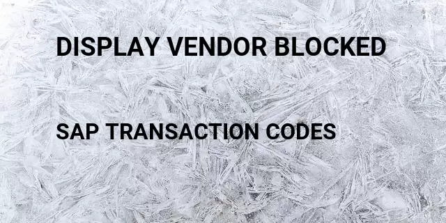 Display vendor blocked Tcode in SAP