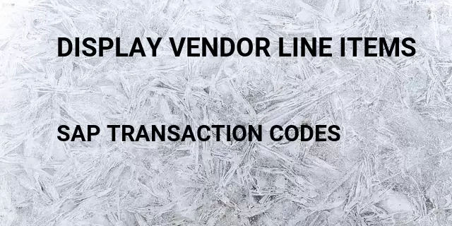 Display vendor line items Tcode in SAP