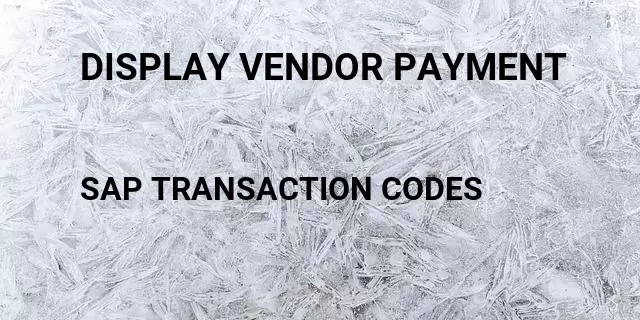 Display vendor payment  Tcode in SAP