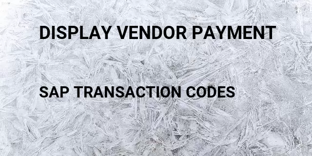 Display vendor payment Tcode in SAP