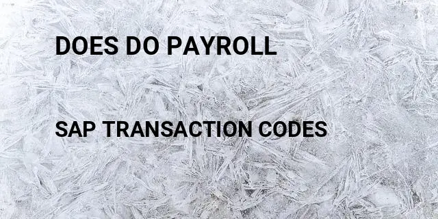 Does do payroll Tcode in SAP