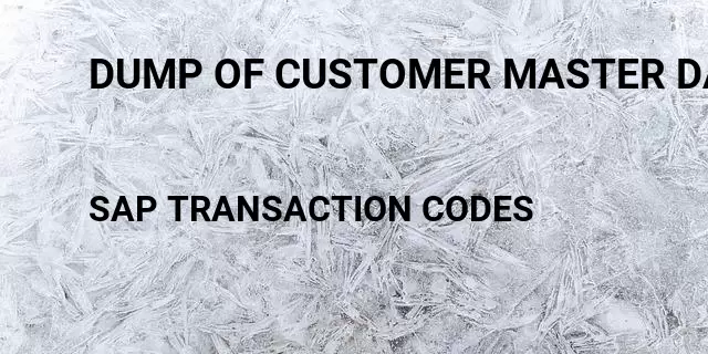 Dump of customer master data Tcode in SAP
