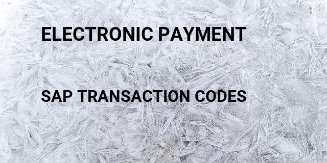 Electronic payment Tcode in SAP