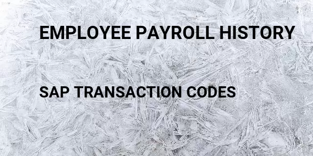 Employee payroll history Tcode in SAP
