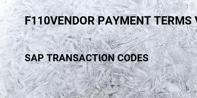 F110vendor payment terms view Tcode in SAP