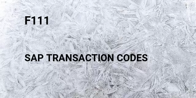 F111 Tcode in SAP