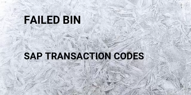 Failed bin Tcode in SAP