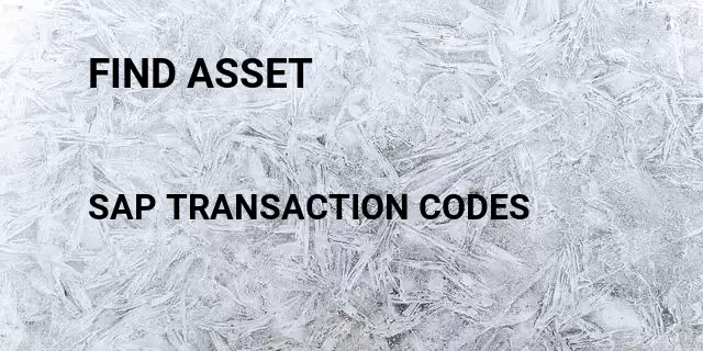 Find asset Tcode in SAP