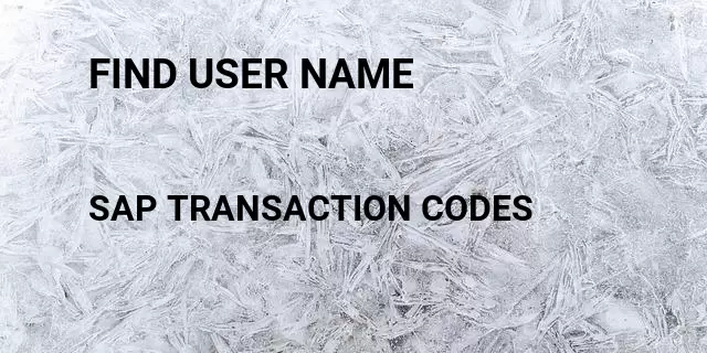 Find user name Tcode in SAP
