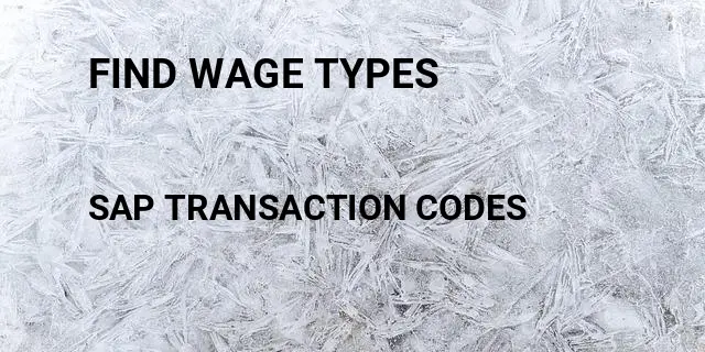 Find wage types Tcode in SAP