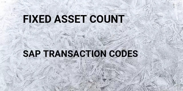 Fixed asset count Tcode in SAP