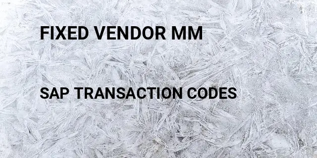 Fixed vendor mm Tcode in SAP