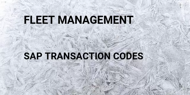 Fleet management  Tcode in SAP