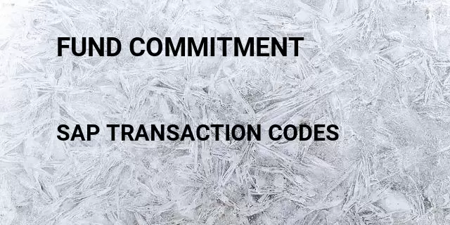 Fund commitment Tcode in SAP