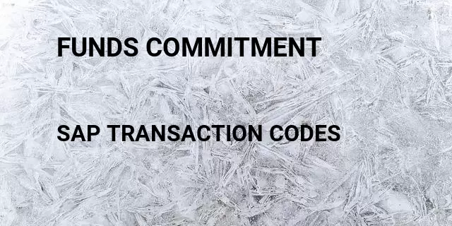 Funds commitment Tcode in SAP