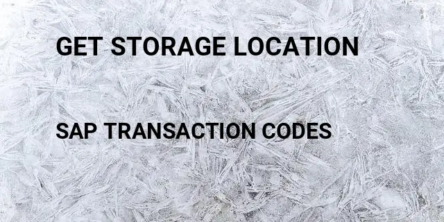 Get storage location Tcode in SAP