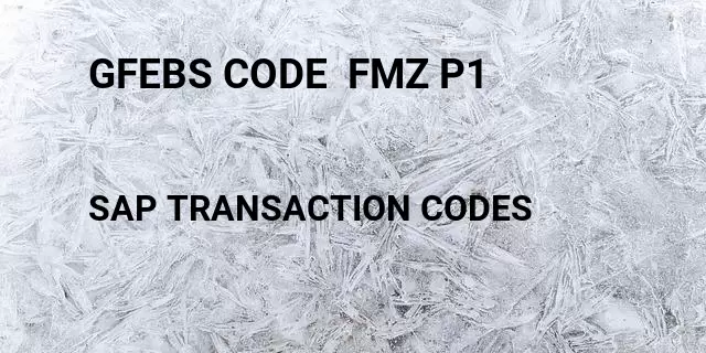 Gfebs code  fmz p1 Tcode in SAP