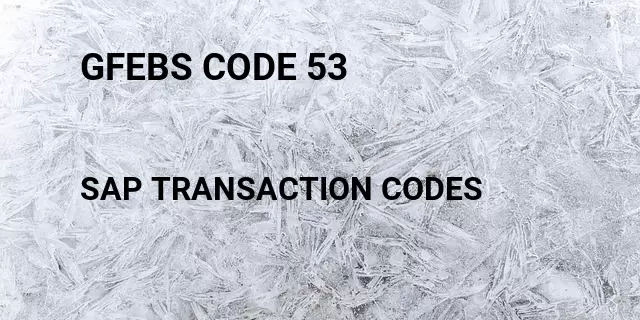 Gfebs code 53 Tcode in SAP