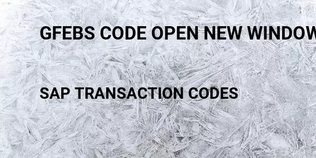 Gfebs code open new window Tcode in SAP