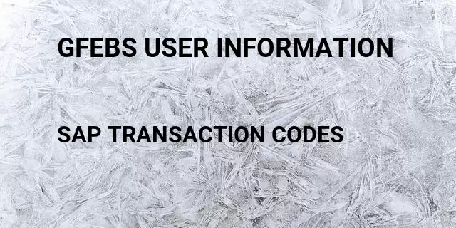 Gfebs user information Tcode in SAP