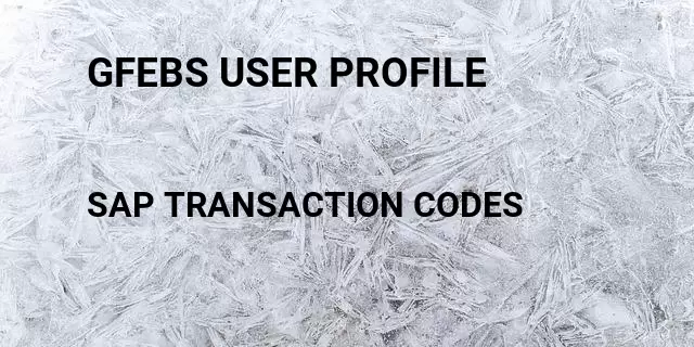 Gfebs user profile  Tcode in SAP