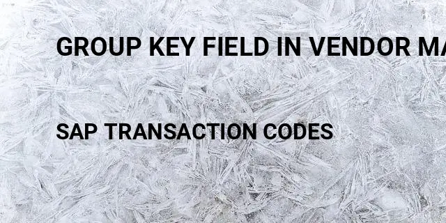 Group key field in vendor master sap Tcode in SAP