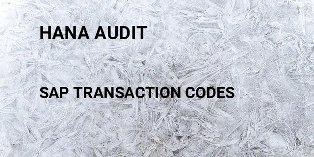 Hana audit Tcode in SAP