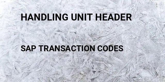 Handling unit header Tcode in SAP