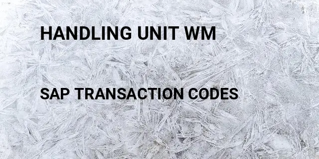 Handling unit wm Tcode in SAP