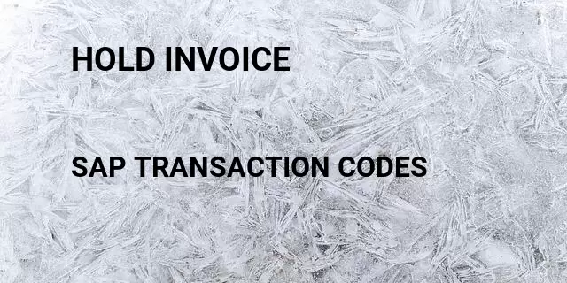 Hold invoice Tcode in SAP