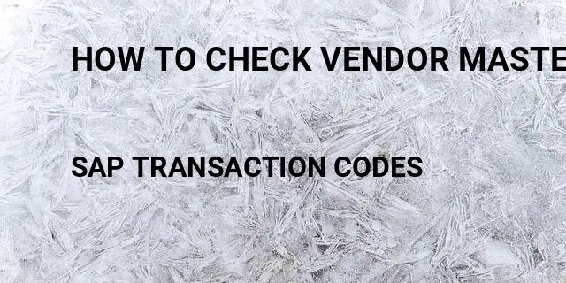How to check vendor master data in Tcode in SAP