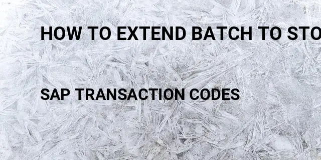 How to extend batch to storage location Tcode in SAP