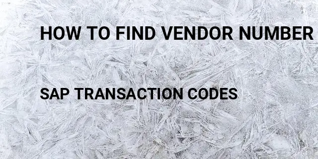 How to find vendor number Tcode in SAP