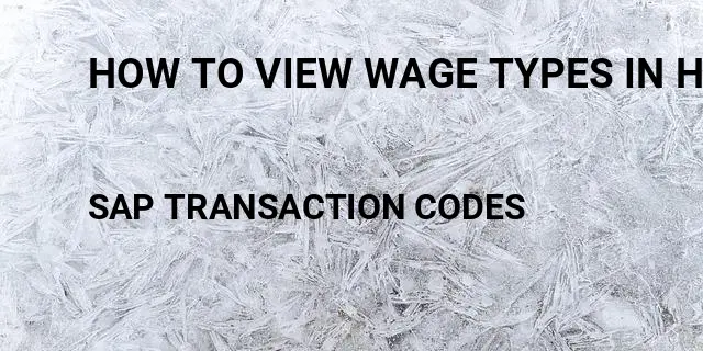 How to view wage types in hr Tcode in SAP