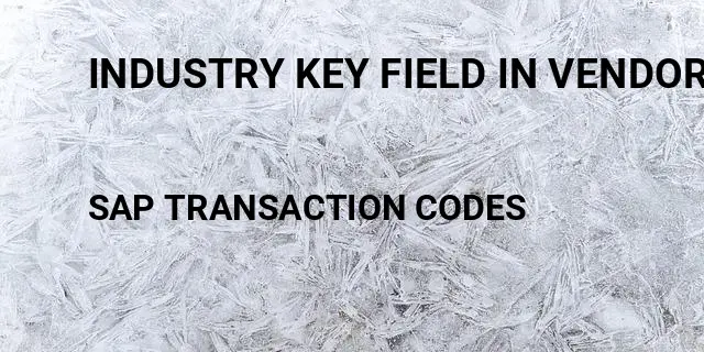 Industry key field in vendor master sap Tcode in SAP