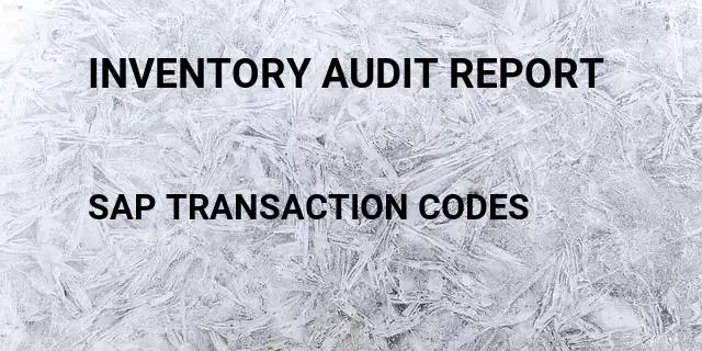 Inventory audit report Tcode in SAP