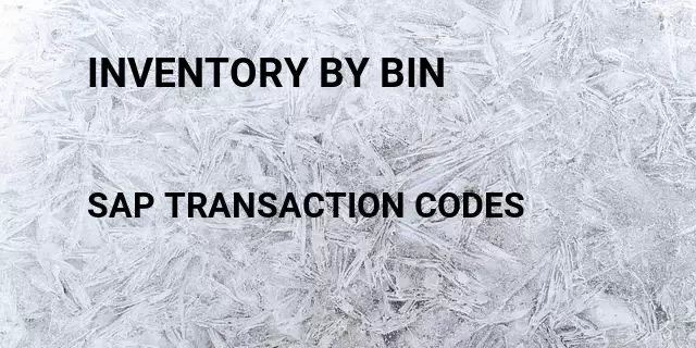 Inventory by bin Tcode in SAP