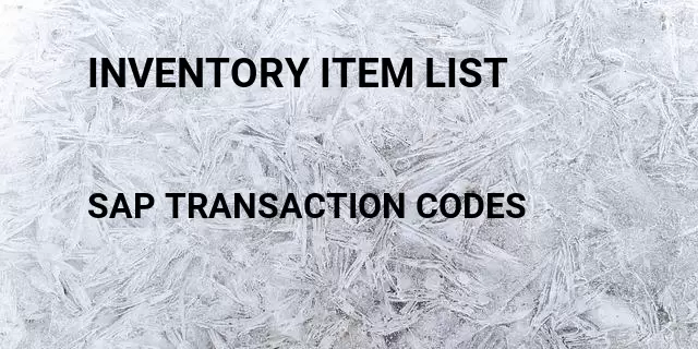 Inventory item list Tcode in SAP