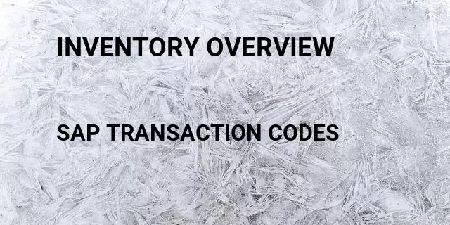 Inventory overview Tcode in SAP