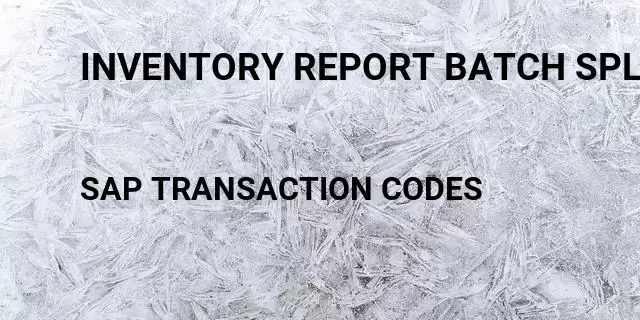 Inventory report batch split Tcode in SAP